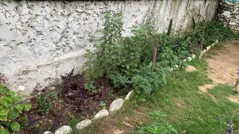 The side of the garden along the wall Stock Photos