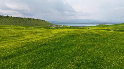Side Glide Above Spring Wildflowers Toward a Lake Beneath Storm Clouds Stock-Footage 340848609