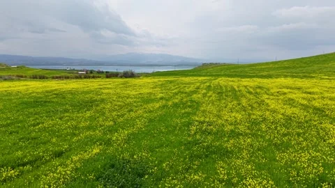 Side Glide Above Spring Wildflowers Toward a Lake Beneath Storm Clouds Stock Footage 340850773
