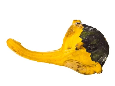 Side of a gourd Stock Photos