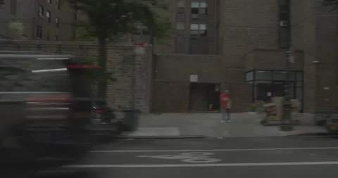 Side left driving plate - Central Park North at Adam C Powell Jr Drive, Stock Footage 251859724