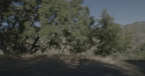 Side left driving plate - Cherry Lake Road at Mile 12, Colfax Spring Stock Footage 295129149