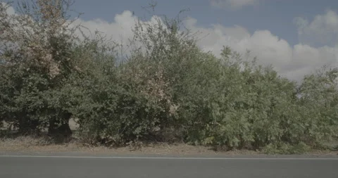 Side left driving plate - Collier Road at Jahant Road, Dogtown Stock Footage 293482135