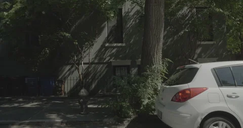 Side left driving plate - Dean Street at Hoyt Street, Brooklyn Stock Footage 254341259