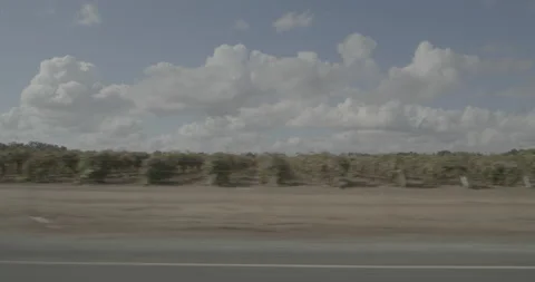 Side left driving plate - Elliot Road at Mile 2, Dogtown Stockbeeldmateriaal 293493745