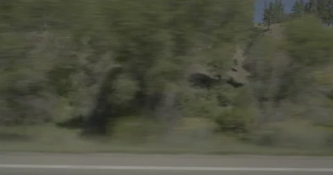 Side left driving plate - Highway 160 at Mile 124 Archuleta County Stock Footage 288574220
