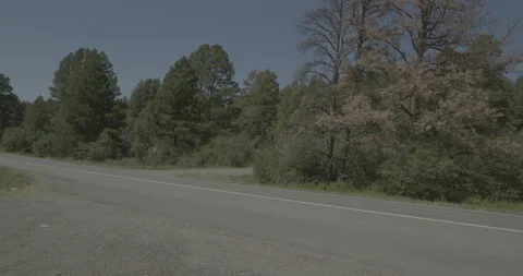 Side left driving plate - Highway 160 at Mile 152 Pagosa Springs Vidéo 288729145