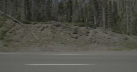 Side left driving plate - Highway 160 at Mile 169 Mineral County Vídeo Stock 288760706