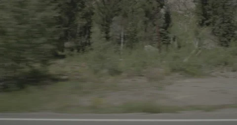 Side left driving plate - Highway 160 at Mile 179 Mineral County Stock Footage 288772747