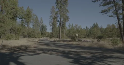 Side left driving plate - Highway 120 at Ferreti Road, Buck Meadows Stock Footage 295119366