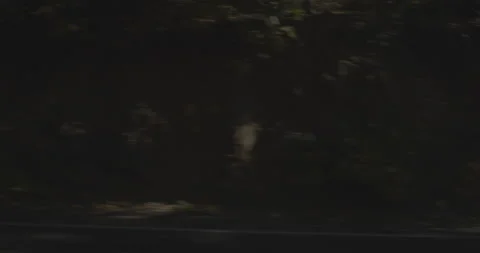 Side left driving plate - Highway 245 at Mile 7, Cedarbrook Vídeo Stock 295215101