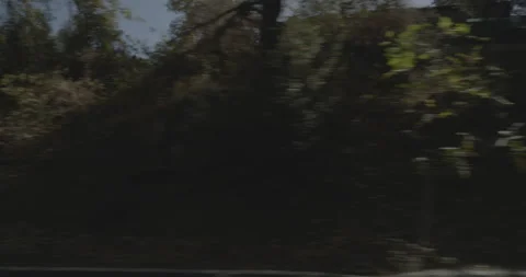 Side left driving plate - Highway 245 at Mile 1, Pinehurst Stock Footage 295219608