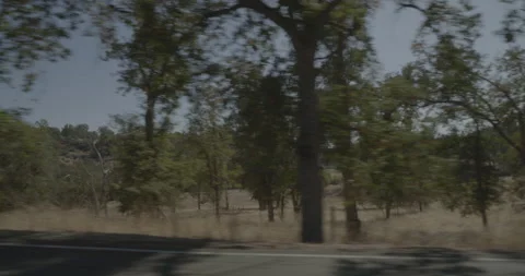 Side left driving plate - Highway 245 at Mile 31, Badger Stock Footage 295227282