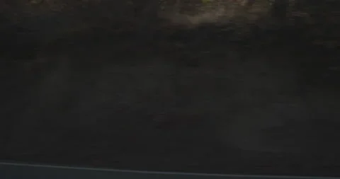 Side left driving plate - Highway 245 Southbound at Tulare County Stockbeeldmateriaal 295228923