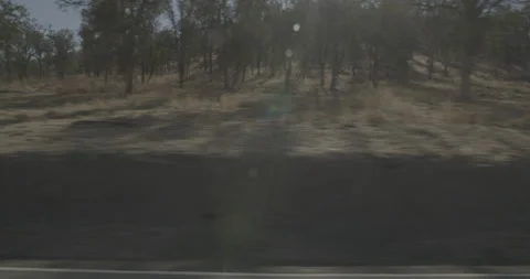 Side left driving plate - Highway 245 at Mile 22, Tulare County Stock Footage 295276883