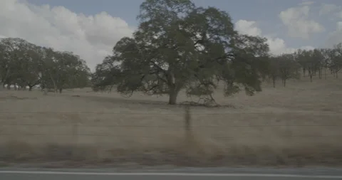 Side left driving plate - Irish Hill Road at Mile 8, Amador County Stock-Footage 293603980