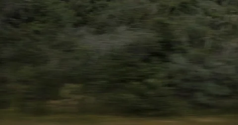 Side left driving plate - PCH at Prewitt Creek, Big Sur Stock Footage 113854097