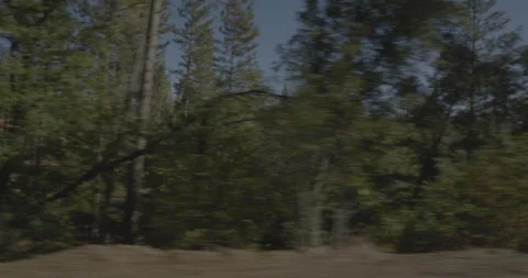 Side left driving plate - Smith Station Road at Mile 5, Greeley Hill Vídeo Stock 295059110