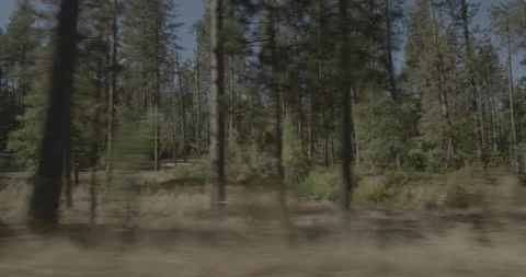 Side left driving plate - Smith Station Road at Mile 2, Greeley Hill Stock Footage 295065275