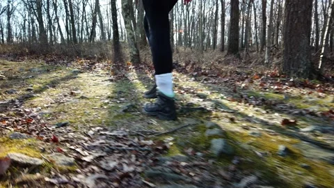 Side left shot of woman's legs hiking in Ward Pound Ridge Reservation Stock Footage 143920173