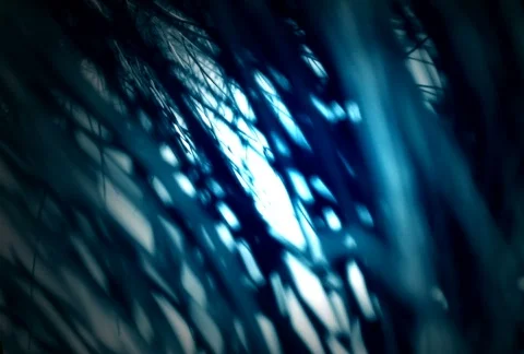 Side Look 2 Video stock 102931