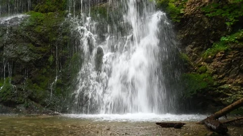 The side of a mossy waterfall with plants and driftwood Stock-Footage 260851180
