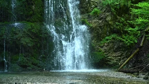 The side of a mossy waterfall with plants and rotten wood (slow motion) Stock-Footage 262075562