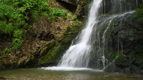 The side of a mossy waterfall with plants Video stock 260851150