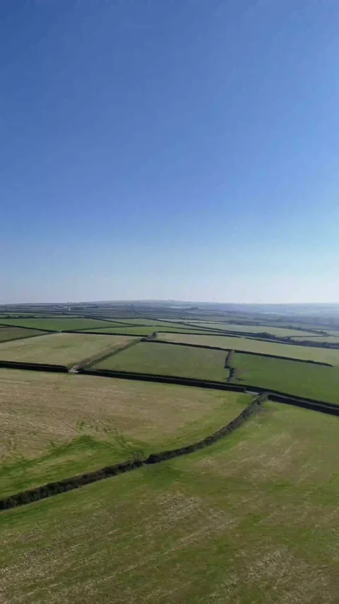 Side Motion Through Rural Fields on a Sunny Day - Vertical Video Footage Stock Footage 276682919