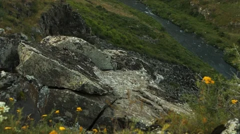 Side of a Mountain with Plants Blowing in the Wind Stock Footage 53232752