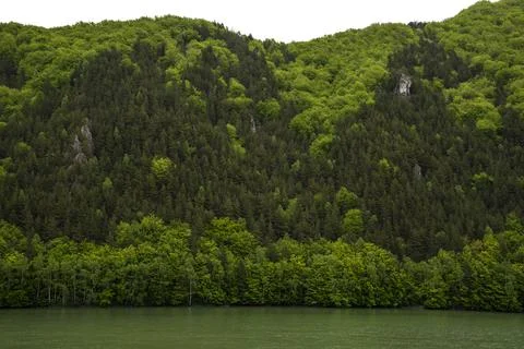Side of mountain river valley in the spring Stock Photos