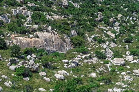 Side of a mountain with a rocks Stock-Fotos