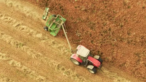 Side mower trimming tall hay behind red farm tractor during summer harvest Video stock 341333928