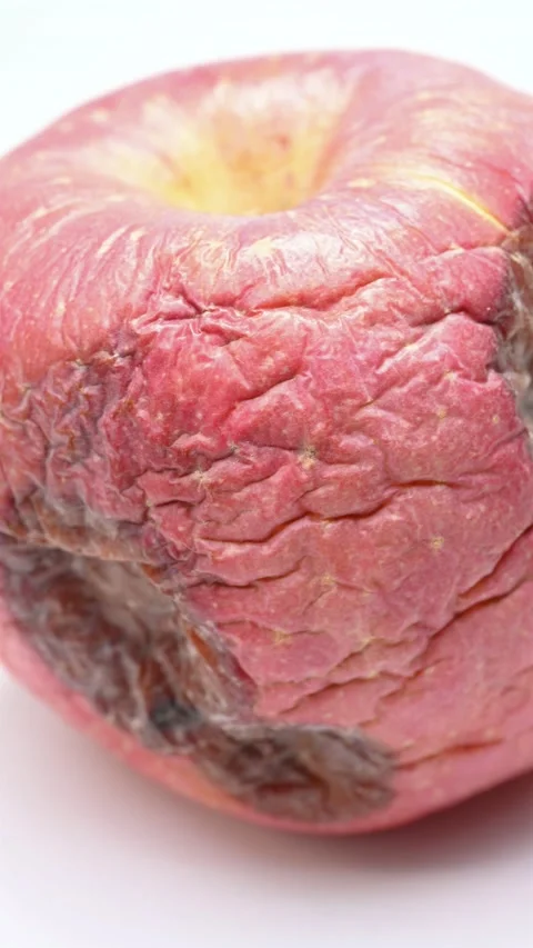 Side pan rotten apple at vertical composition Stock Footage 219606444