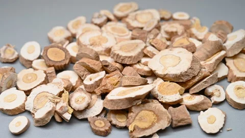 Side pan view herb BanLanGen or Isatidis Radix or Indigowoad Root Stock Footage 147089351