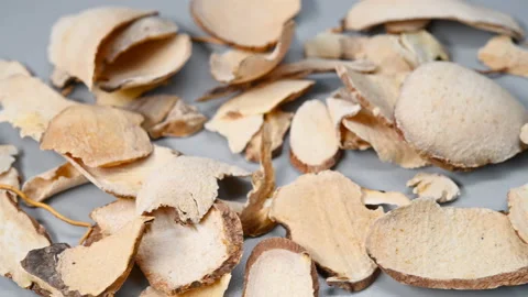 Side pan view herb FenPiXie or Dioscoreae Hypoglaucae Rhizoma or Hypoglaucous Stock Footage 147918912