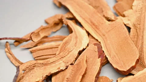 Side pan view herb LingZhi or Ganoderma or Lucid Ganoderma Stock Footage 147921902