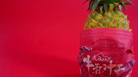 Side pan view pineapple wears a medical mask printed with Chinese characters Stock Footage 147603679