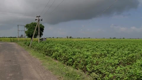 Side Pane of the farm area Видео 284826560