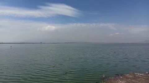 Side panning of the Zumpango lagoon, which has crystal clear water Stock Footage 156871885