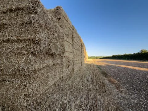Side perspective of stacked wheat landscape Stock-Fotos