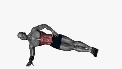 Side plank fitness exercise workout animation video male muscle highlight 4K 60  Video stock 229459906