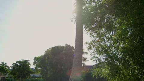 Side Point of wide view POV car driving on street in Naples Florida. road with Video stock 258486518