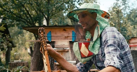 Side portrait of the old beekeeper in special hat veil is inspecting the Stock Footage 92090643