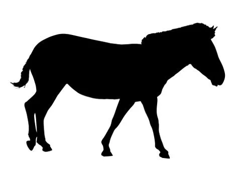 Side profile image of zebra walking Stock Illustration