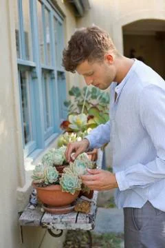 Side profile of a man looking to the plant Stock Photos