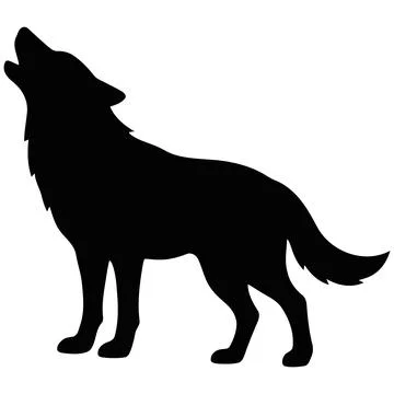 A side profile silhouette of a howling wolf standing in a wilderness enviro.. Illustration