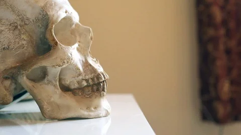 Side profile view of ceramic human skull on white table closeup halloween horror 스톡 동영상 98692510