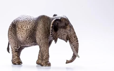 Side profile view of a model Elephant isolated on a white background 스톡 사진