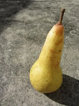 Side profile view of single yellow ripe pear casting shadow on the ground Stock Photos